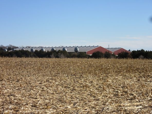 Special Purpose For Sale: 52813 860th Rd, Brunswick, NE 68720